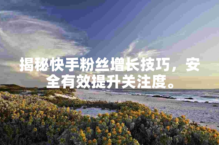 揭秘快手粉丝增长技巧，安全有效提升关注度。