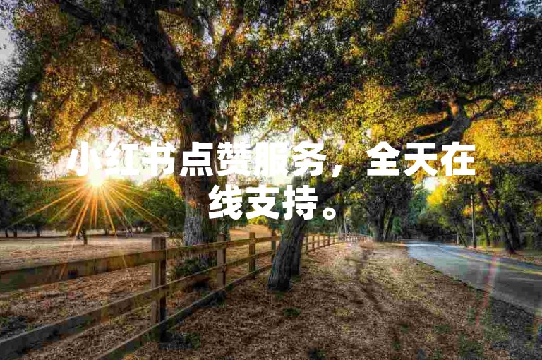 小红书点赞服务，全天在线支持。