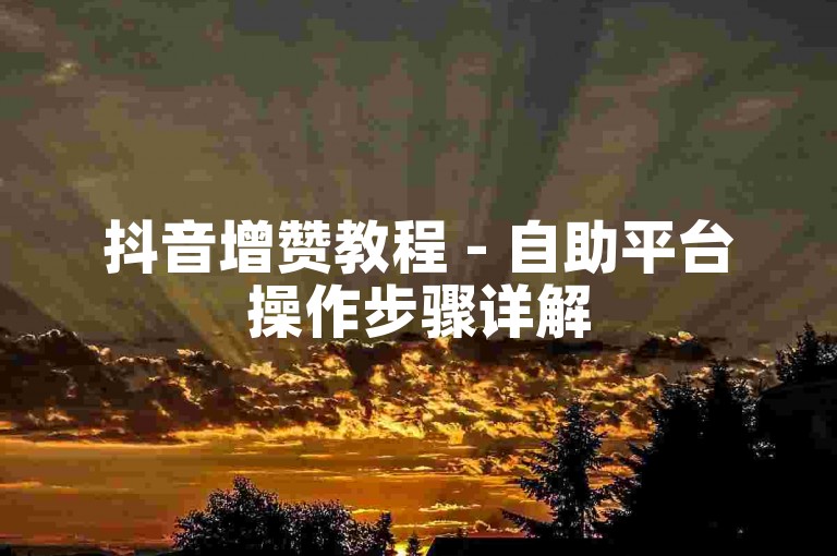 抖音增赞教程 - 自助平台操作步骤详解