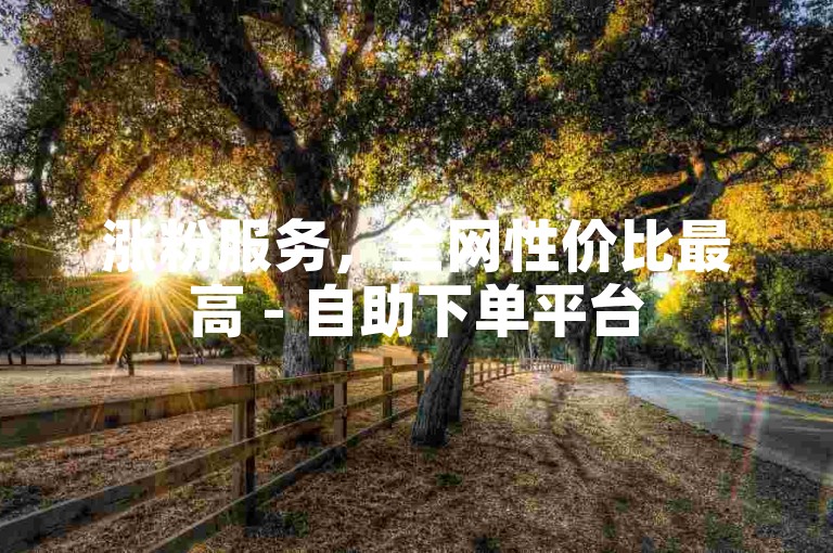 涨粉服务，全网性价比最高 - 自助下单平台