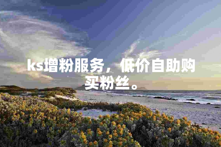 ks增粉服务，低价自助购买粉丝。