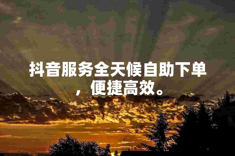 抖音服务全天候自助下单，便捷高效。