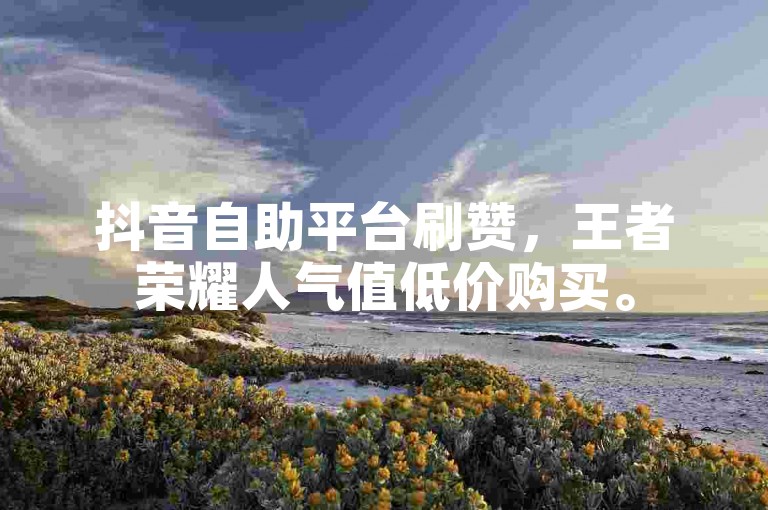 抖音自助平台刷赞，王者荣耀人气值低价购买。