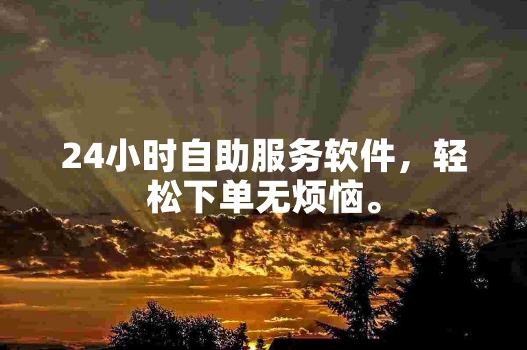 24小时自助服务软件，轻松下单无烦恼。