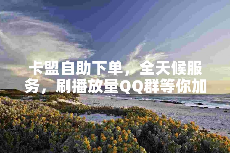 卡盟自助下单，全天候服务，刷播放量QQ群等你加入。