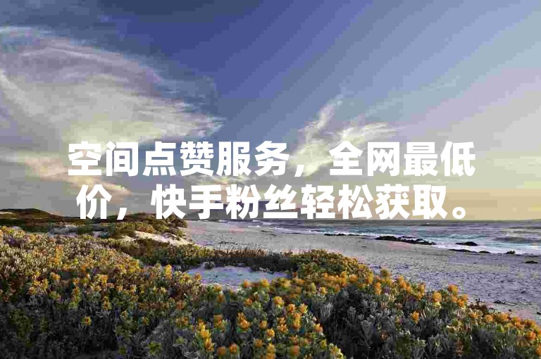 空间点赞服务，全网最低价，快手粉丝轻松获取。