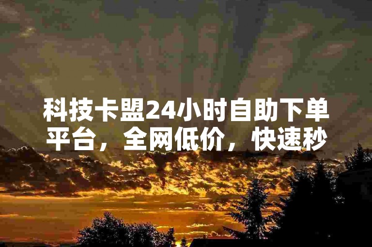 科技卡盟24小时自助下单平台，全网低价，快速秒单。