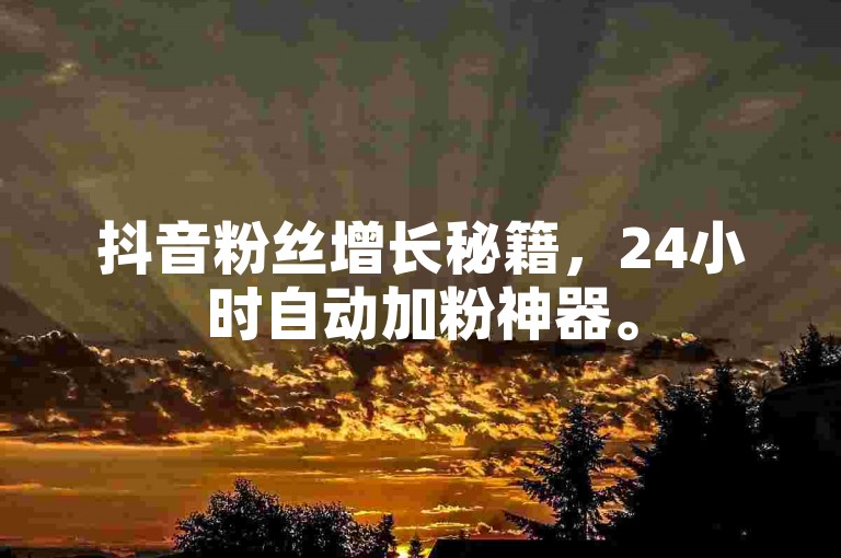 抖音粉丝增长秘籍，24小时自动加粉神器。