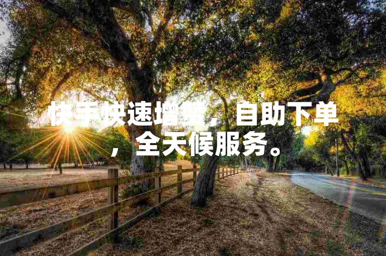 快手快速增赞，自助下单，全天候服务。