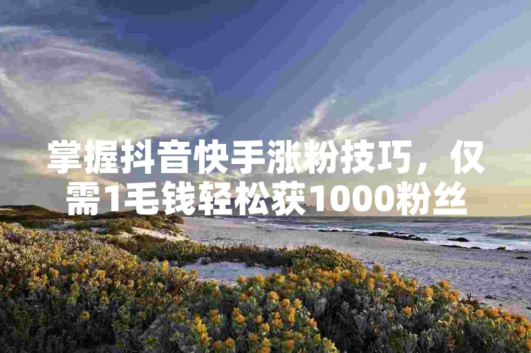掌握抖音快手涨粉技巧，仅需1毛钱轻松获1000粉丝！