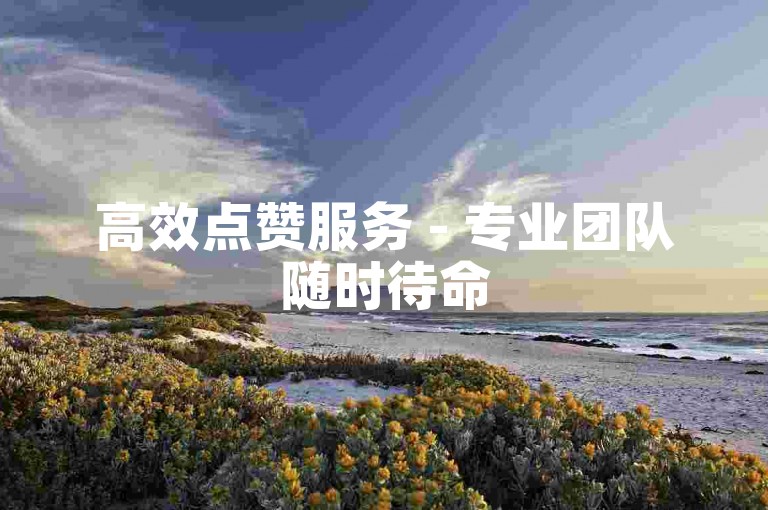 高效点赞服务 - 专业团队随时待命