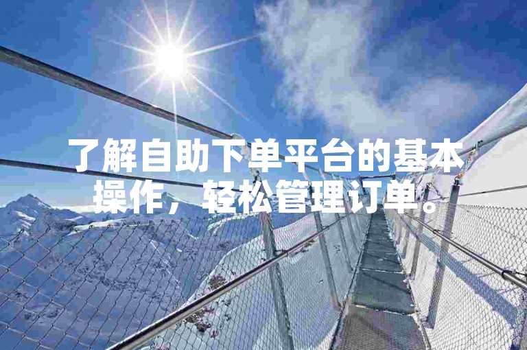 了解自助下单平台的基本操作，轻松管理订单。