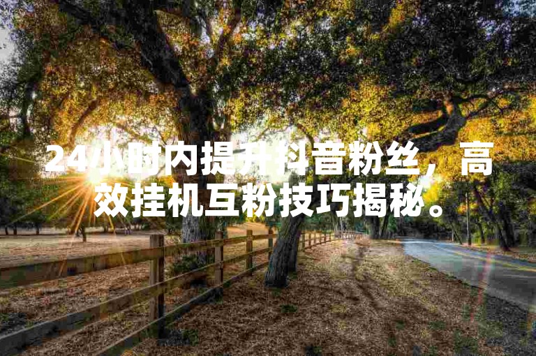 24小时内提升抖音粉丝，高效挂机互粉技巧揭秘。
