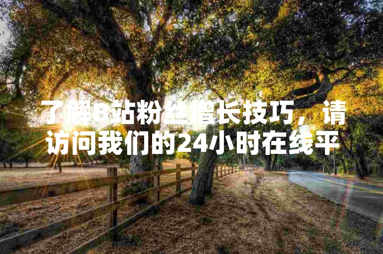 了解B站粉丝增长技巧，请访问我们的24小时在线平台。