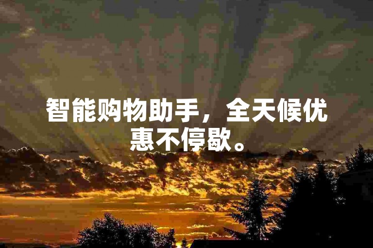 智能购物助手，全天候优惠不停歇。