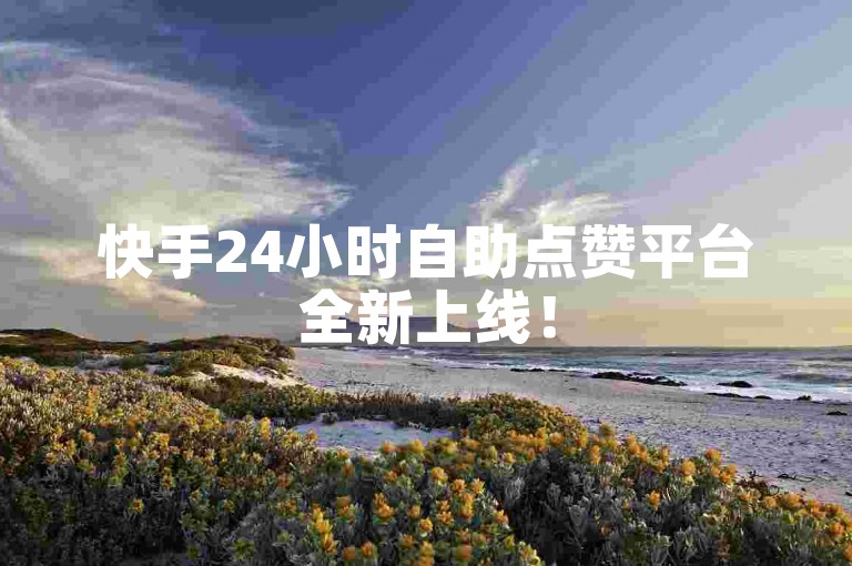 快手24小时自助点赞平台全新上线！