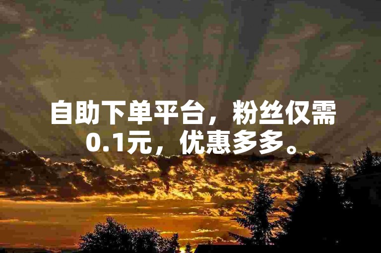 自助下单平台，粉丝仅需0.1元，优惠多多。