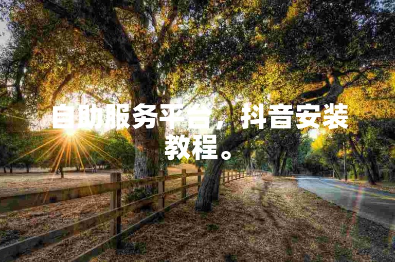 自助服务平台，抖音安装教程。
