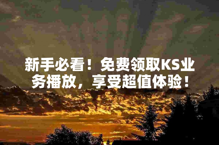 新手必看！免费领取KS业务播放，享受超值体验！