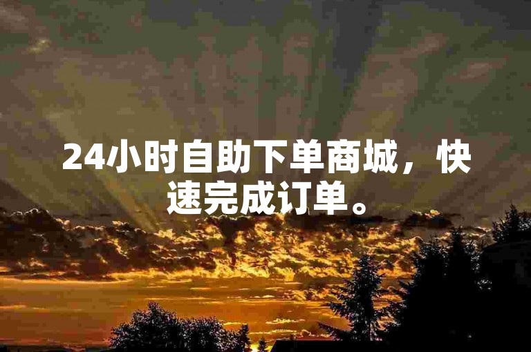 24小时自助下单商城，快速完成订单。