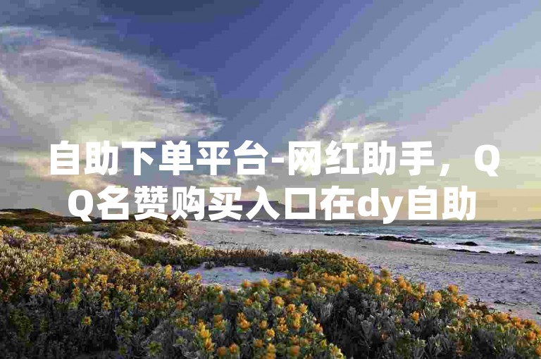 自助下单平台-网红助手，QQ名赞购买入口在dy自助商城。