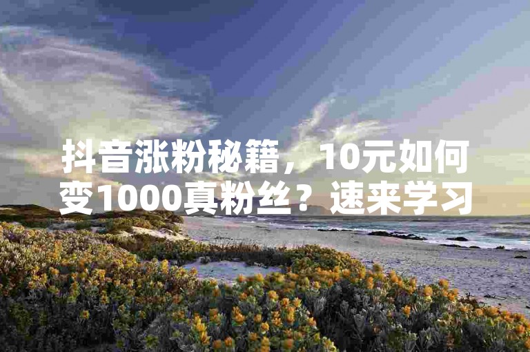 抖音涨粉秘籍，10元如何变1000真粉丝？速来学习！