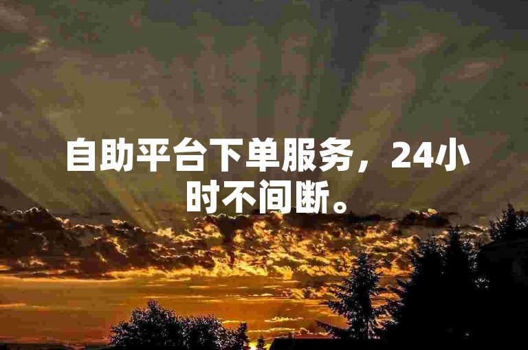 自助平台下单服务，24小时不间断。