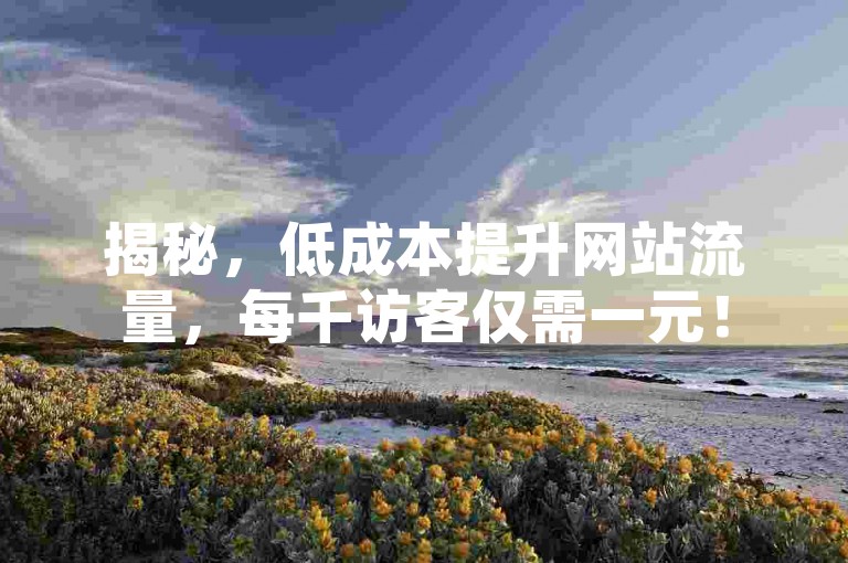 揭秘，低成本提升网站流量，每千访客仅需一元！