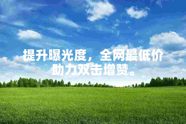 提升曝光度，全网最低价助力双击增赞。