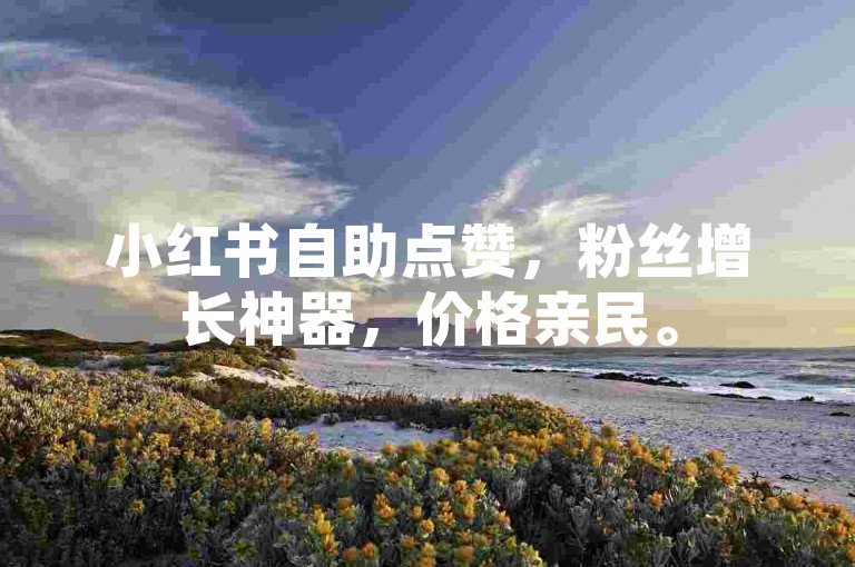 小红书自助点赞，粉丝增长神器，价格亲民。