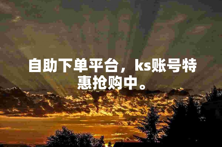自助下单平台，ks账号特惠抢购中。