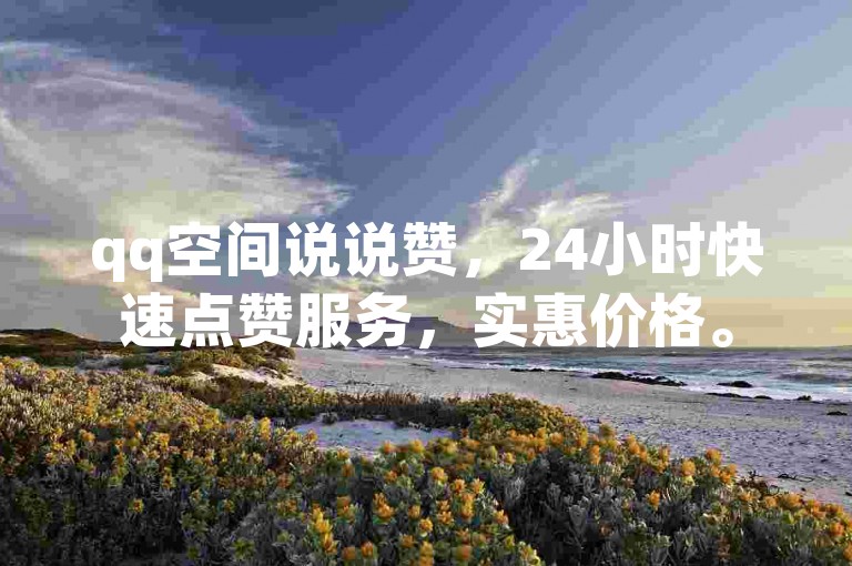 qq空间说说赞，24小时快速点赞服务，实惠价格。