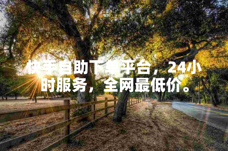 快手自助下单平台，24小时服务，全网最低价。