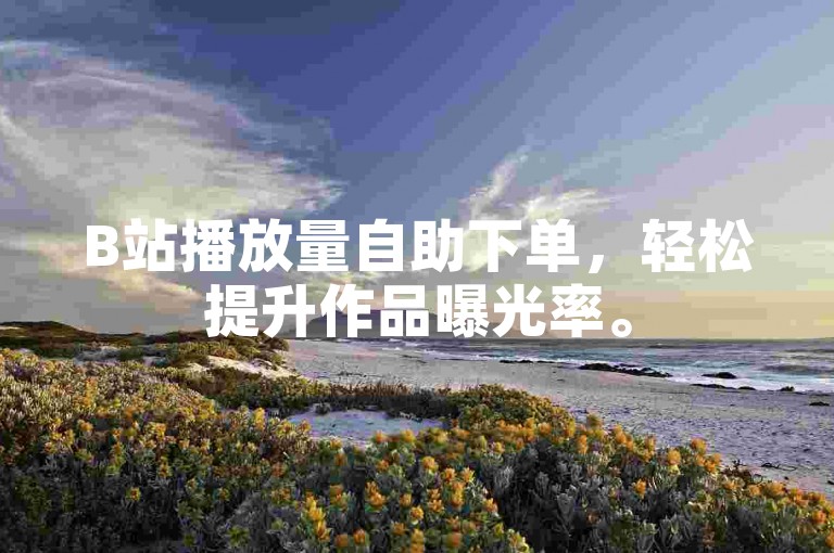 B站播放量自助下单，轻松提升作品曝光率。