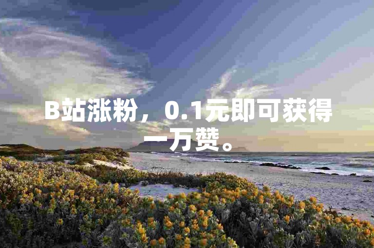 B站涨粉，0.1元即可获得一万赞。