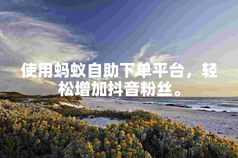 使用蚂蚁自助下单平台，轻松增加抖音粉丝。