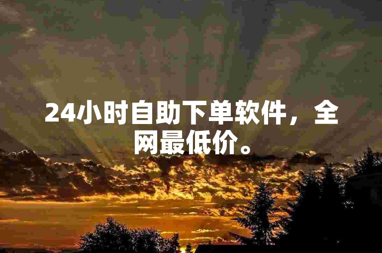 24小时自助下单软件，全网最低价。