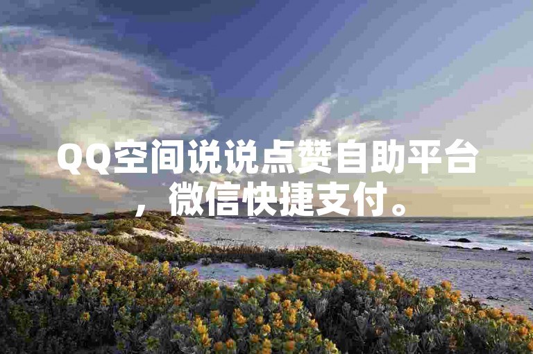QQ空间说说点赞自助平台，微信快捷支付。