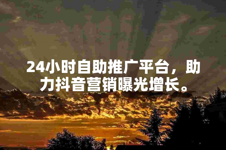 24小时自助推广平台，助力抖音营销曝光增长。