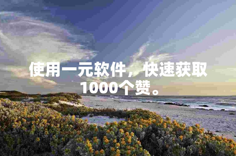 使用一元软件，快速获取1000个赞。