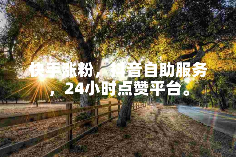 快手涨粉，抖音自助服务，24小时点赞平台。