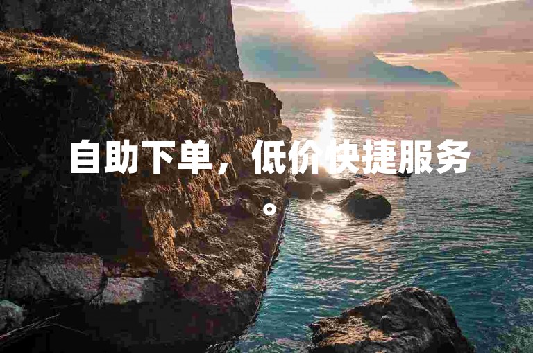 自助下单，低价快捷服务。