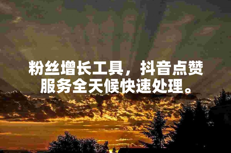 粉丝增长工具，抖音点赞服务全天候快速处理。