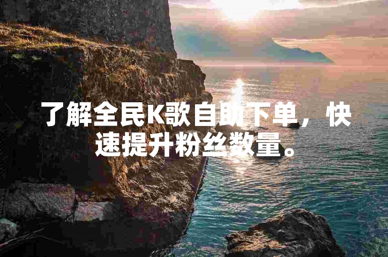 了解全民K歌自助下单，快速提升粉丝数量。
