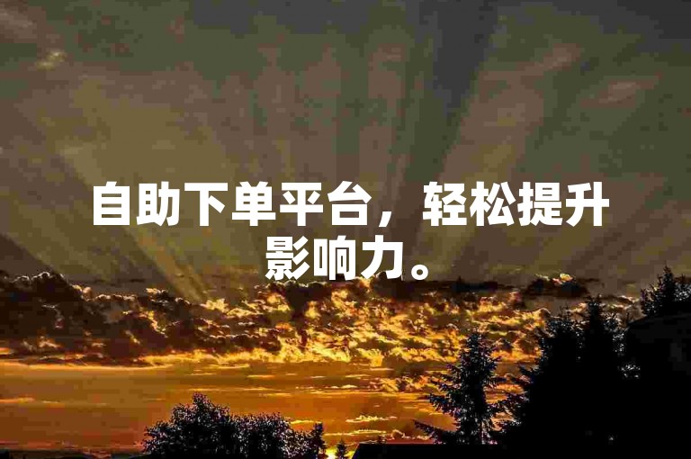 自助下单平台，轻松提升影响力。