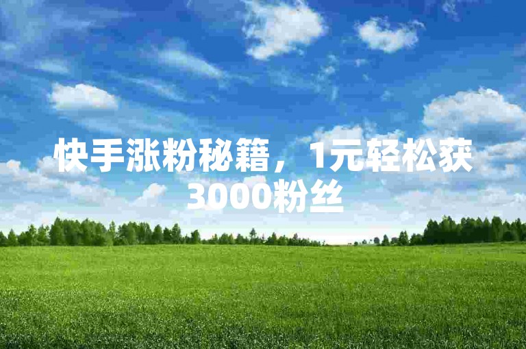 快手涨粉秘籍，1元轻松获3000粉丝