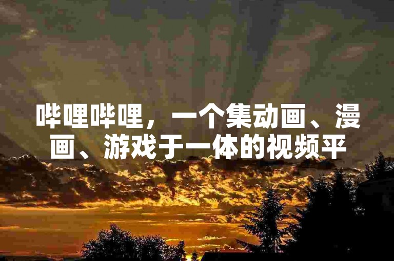 哔哩哔哩，一个集动画、漫画、游戏于一体的视频平台。