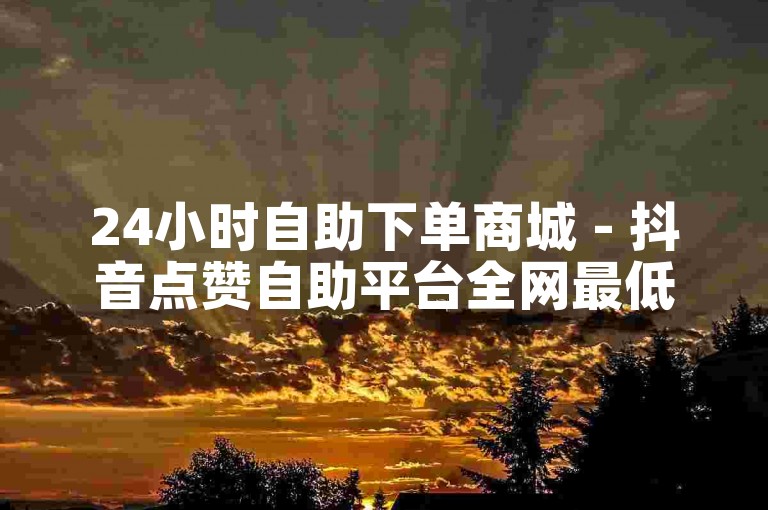 24小时自助下单商城 - 抖音点赞自助平台全网最低价