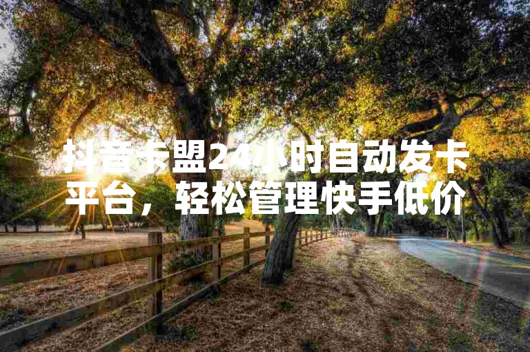 抖音卡盟24小时自动发卡平台，轻松管理快手低价业务。
