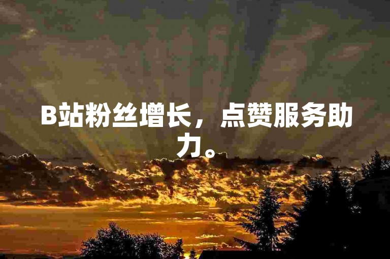 B站粉丝增长，点赞服务助力。